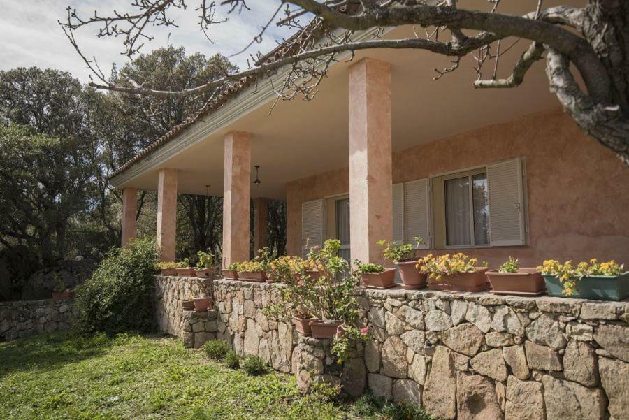 Fumu Ludurru Farm Stay Padru Exterior photo